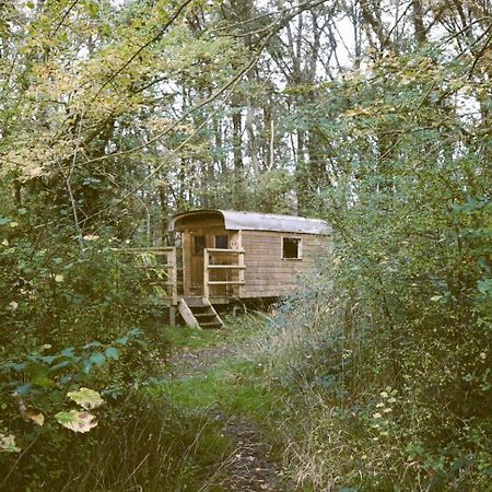 Готель Le Bois Davy Le Thoureil Екстер'єр фото